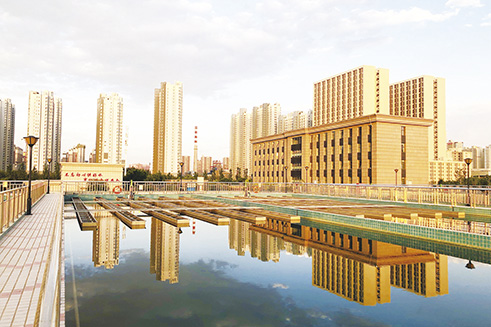 4-我们的水厂美如画  石家庄水务集团  张 琳  摄.jpg