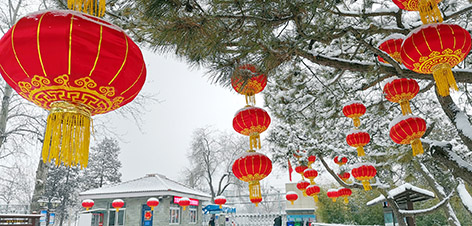 4-瑞雪兆丰年-张林-北京自来水集团.jpg