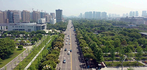 3-主图 苍南县街景.jpg