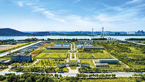 1-边  武汉.jpg