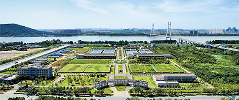 武汉-1.jpg