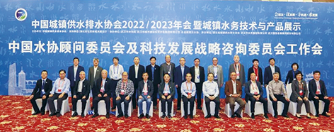 1-顾问委员会及战略咨询委员会.jpg