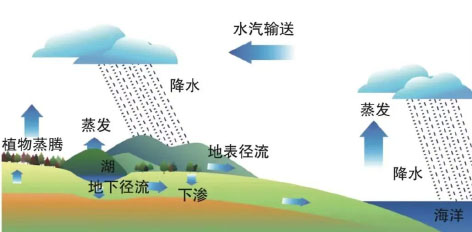 3-边2  水循环.jpg