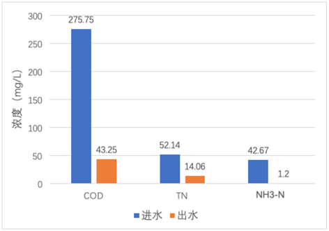 3-1智能药剂13.png