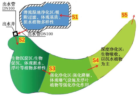 3-人工湿地2.jpg