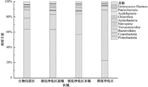 3-人工湿地6.jpg