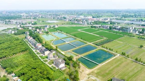 2-1平湖0.jpg