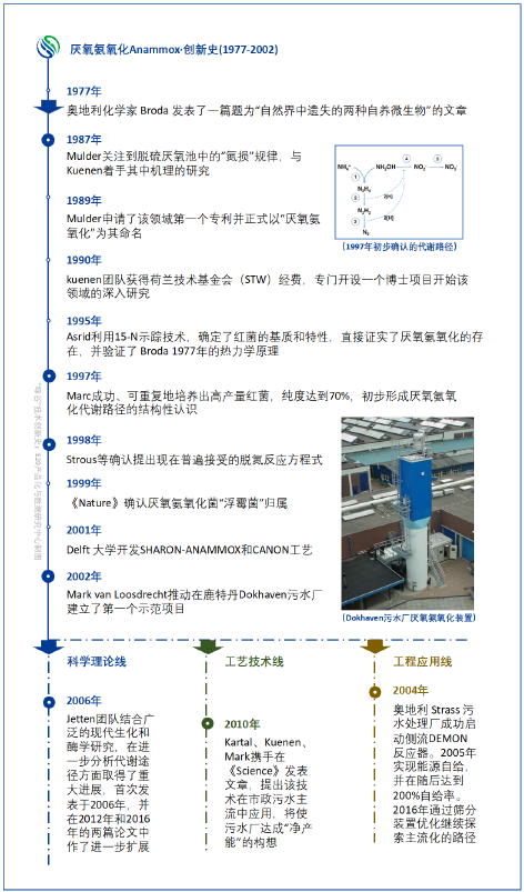 3-厌氧氨氧化4.png
