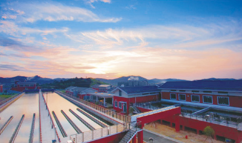 1-舟山1.jpg