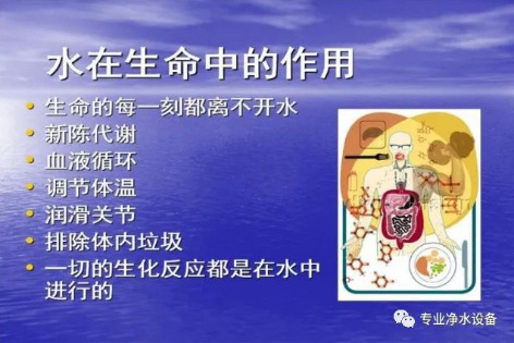 3-边2.jpg