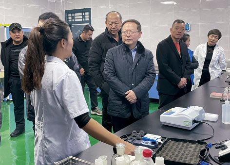 1-边  新疆.jpg