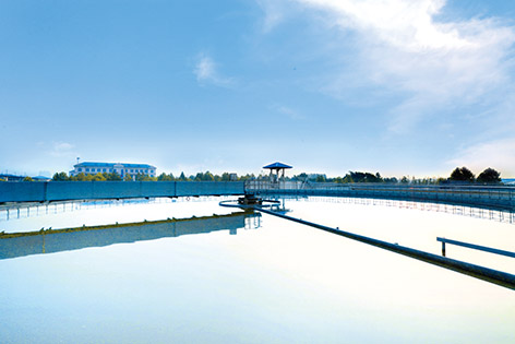 1-边  石家庄   桥东污水处理厂厂区一角。.jpg