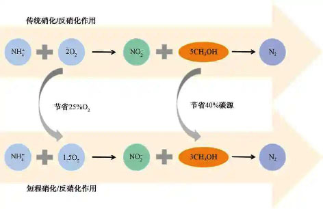 3-城镇污水处理厂  图5.jpg