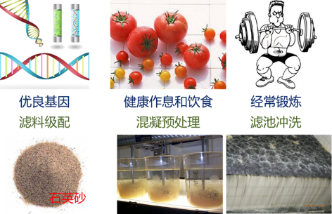 3-1饮用水水质指标4.png