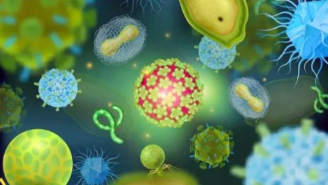 3-深度解读污水处理生物厌氧过程1.jpg