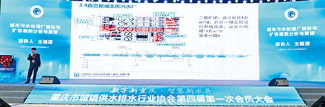 1-专家演讲  王锡清.JPG