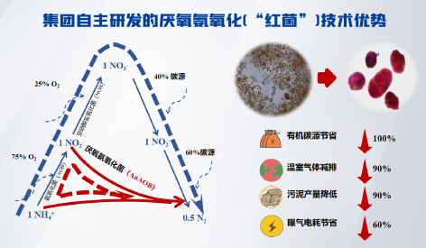 3-3北排1.png