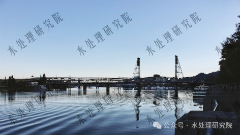 3-碳源选择指南2.png
