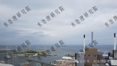 3-碳源选择指南3.png