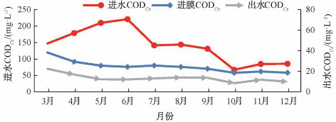 3-某地下污水厂MBR膜  图2.jpg