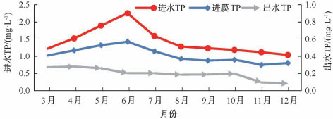 3-某地下污水厂MBR膜  图4.jpg