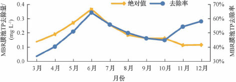 3-某地下污水厂MBR膜  图5.jpg