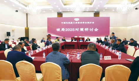 1-净水剂成立大会1.jpg