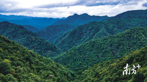 1-东深5.jpg
