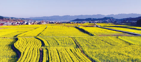4-房县乡村入画.JPG