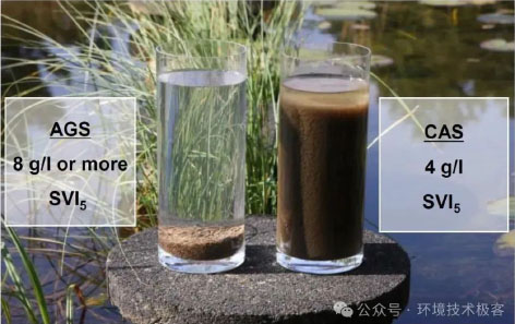 3-好氧颗粒污泥-图3.jpg