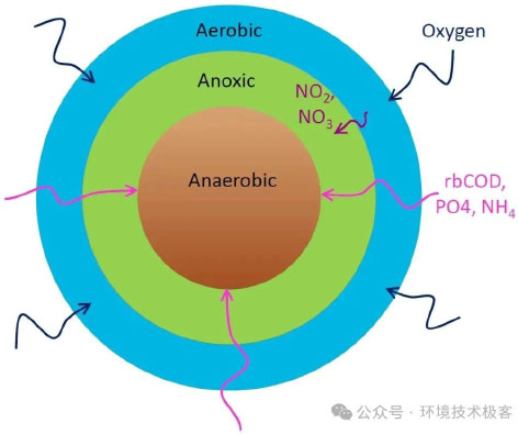3-好氧颗粒污泥-图8.jpg