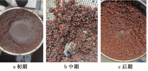 3-厌氧氨氧化-图2.png