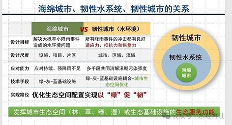 3-海绵到韧性3.jpg
