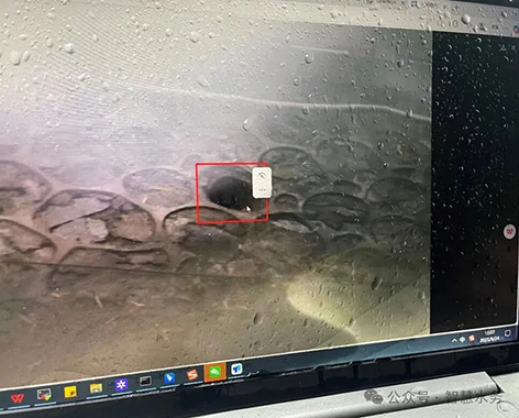 1761096284130295.png 3-借助AI技术识别水环境2.png