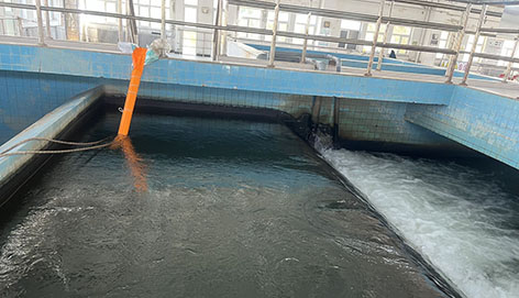 1763365187708948.jpg 3-甘泉堡2 实验前混合区.jpg