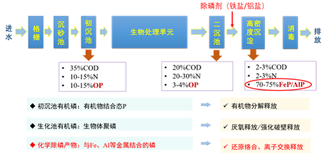 3-3重庆中法1.png