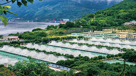 1-2鸡冠石污水处理厂.jpg