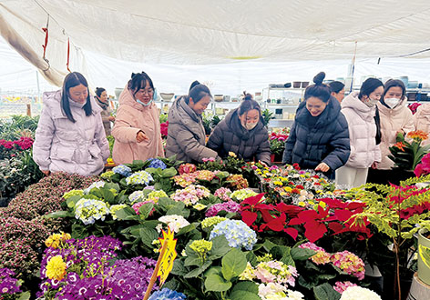 4-林州.jpg