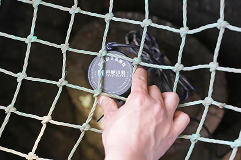 3-合肥.jpg