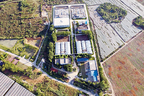 1-绿城2.jpg