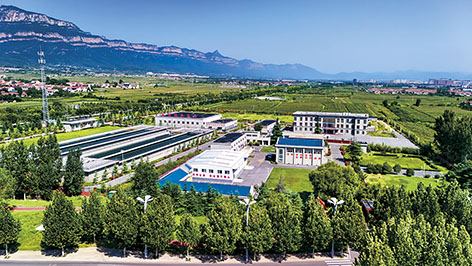 1786431374332076.jpg 1-1林州.jpg