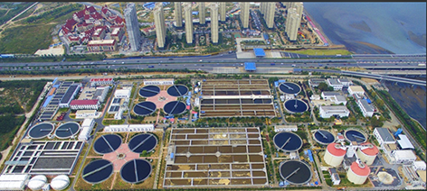 2-边  青岛.png
