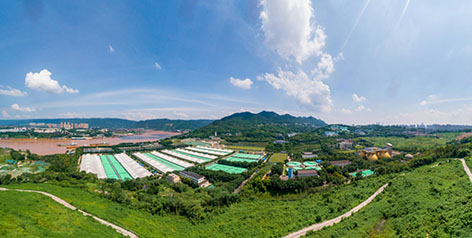 1790125965821907.jpg 2-1重庆1.jpg