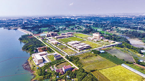 1-荆门  四水厂全景.jpg